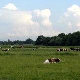 1406F 159 Sylt-Itzehoe